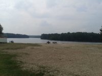 2015-08-15 12.50.06.jpg